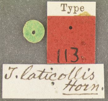 Media type: image;   Entomology 113 Aspect: labels